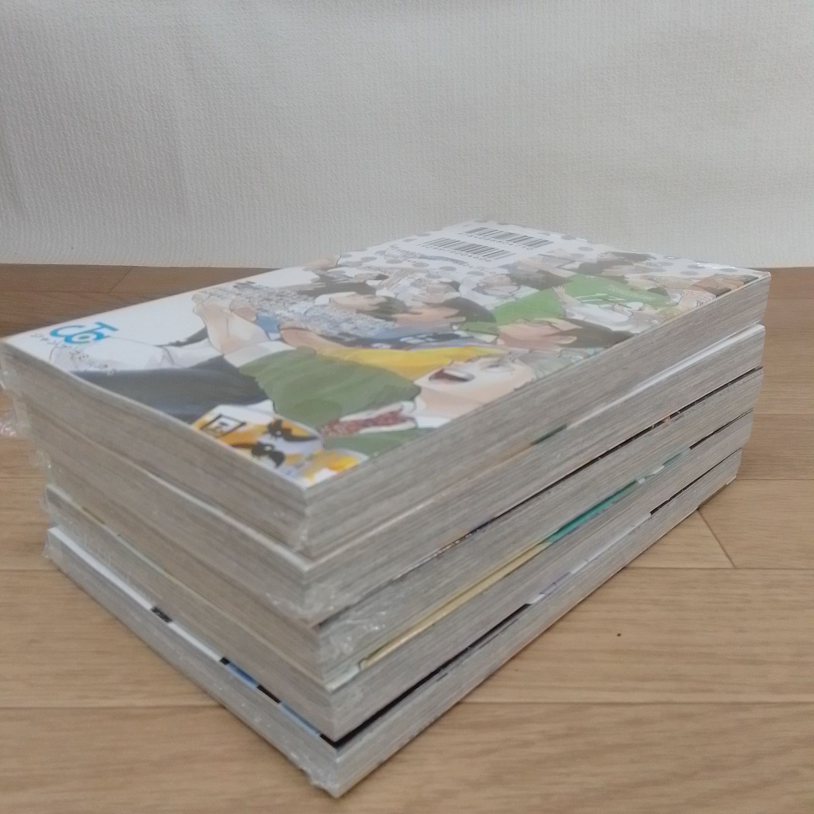 ガイドブック1冊