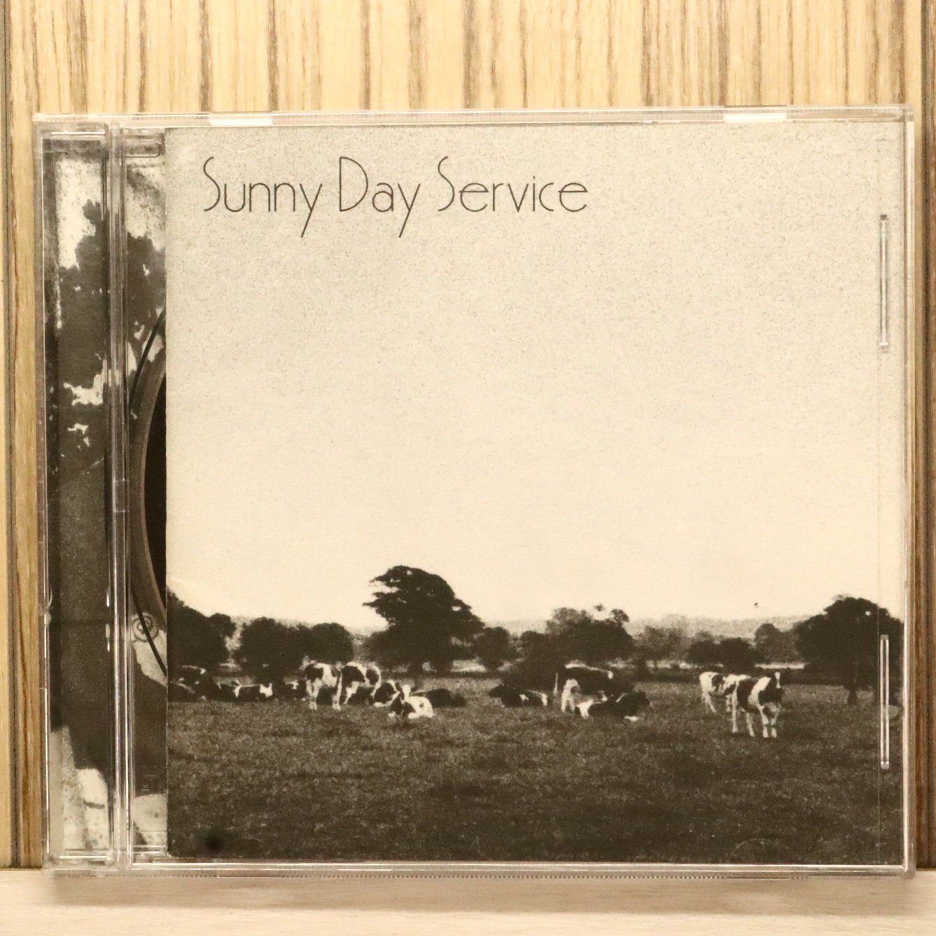 国内盤CD☆サニーデイ・サービス/Sunny Day Service□ サニーデイ