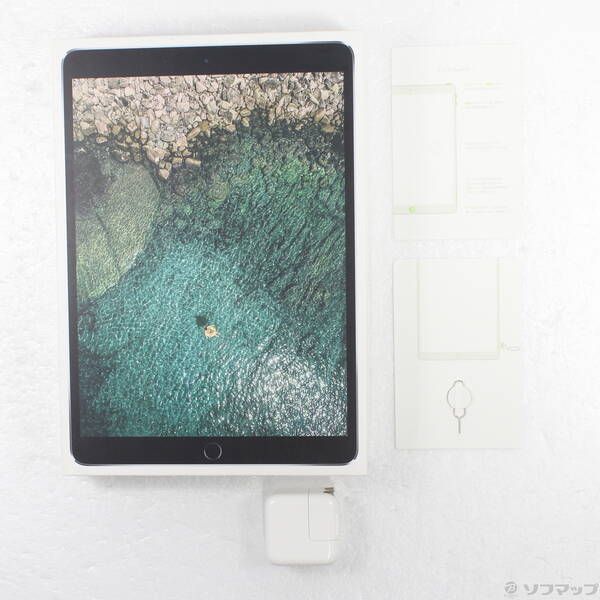 中古品〕 iPad Pro 10.5インチ 256GB スペースグレイ MPHG2J／A docomo