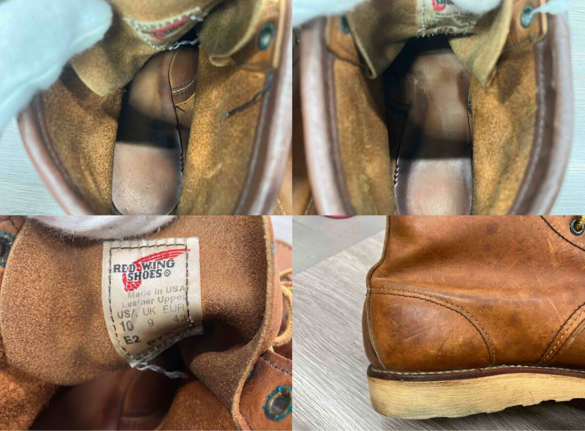 875 アイリッシュセッタ