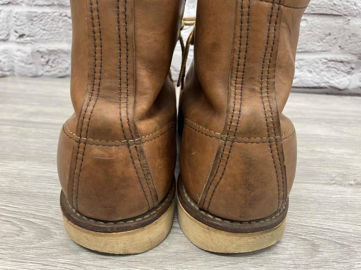 875 アイリッシュセッタ