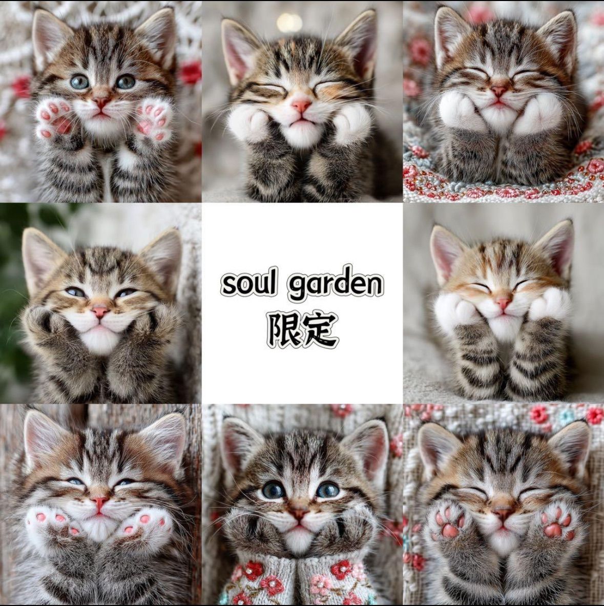 うさにゃん☆プロフを必ずお読みください様専用 - メルカリ