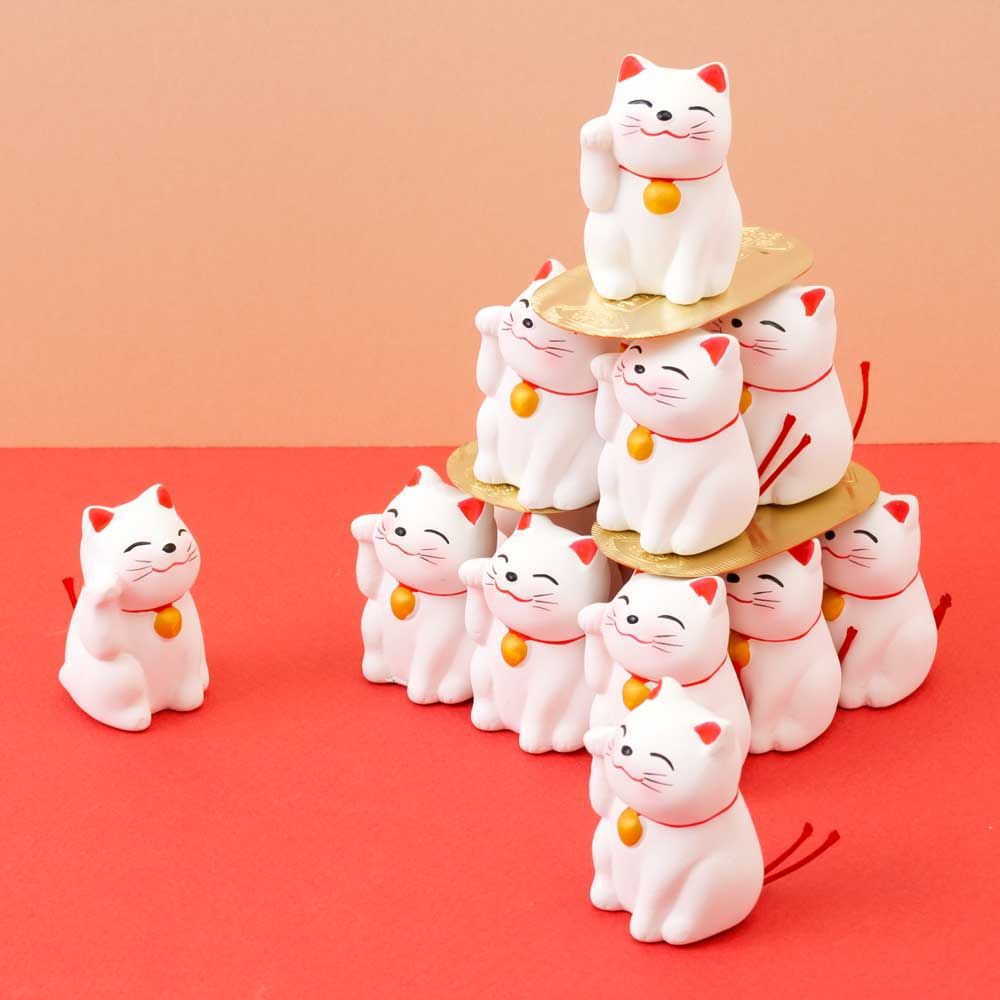 セット 猫の小判祭りセット もしかしてすでに干支？ 白猫のおみくじ