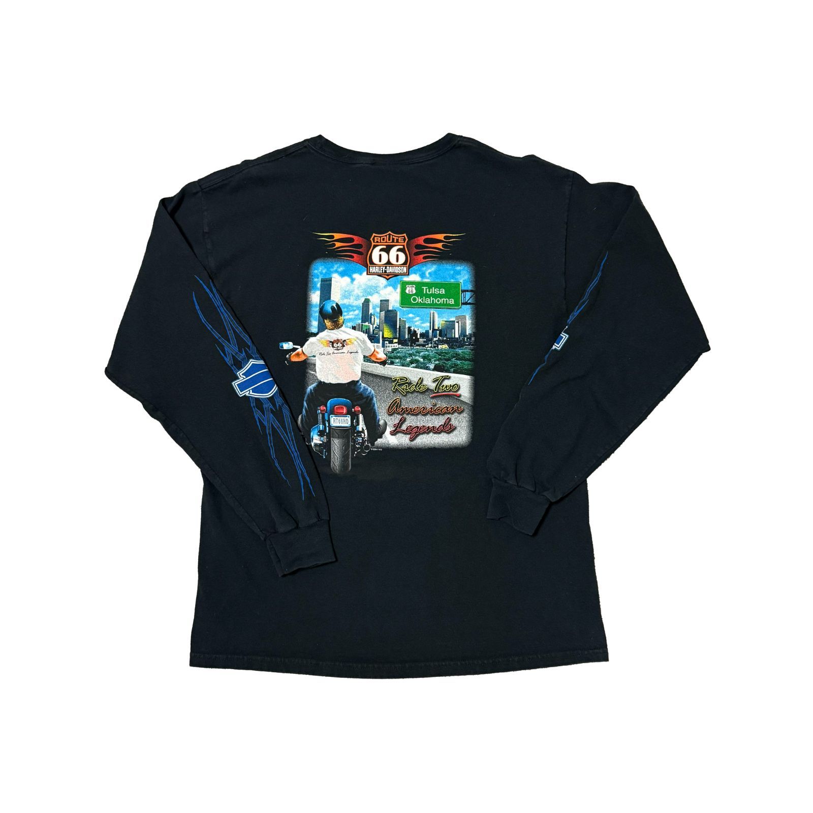 00s Harley Davidson 2002 Long Sleeve tee ブルーフレイム ロンT