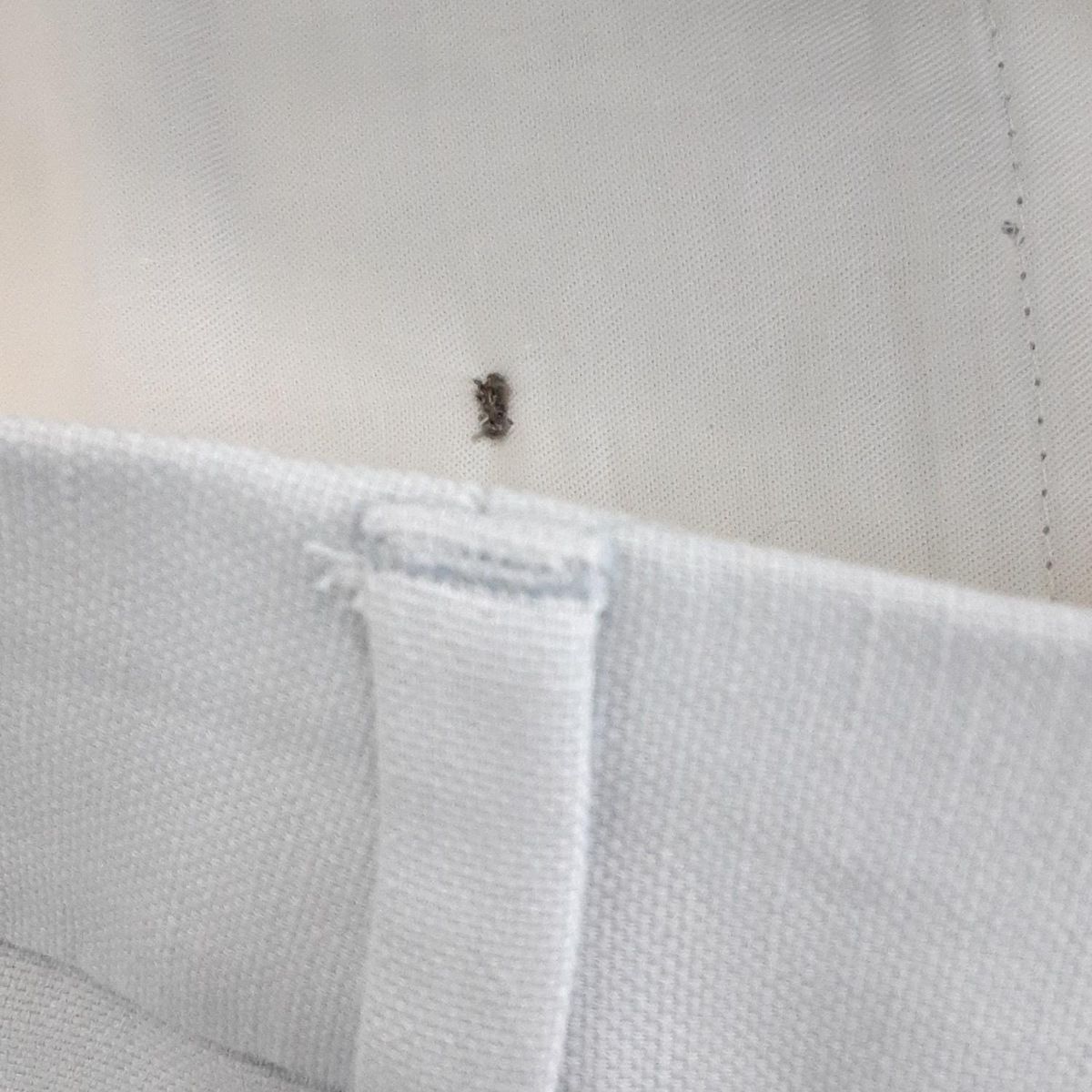 パンツ サイズ38