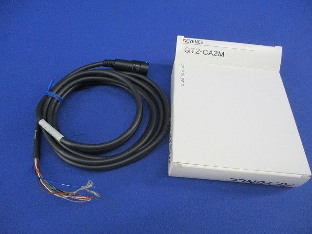 Lisa Larson リサラーソン Stim スティム プレート 魚 2