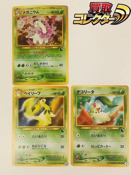 mC509s [当時物] 旧裏面 ポケモンカードneo メガニウム(LV.54