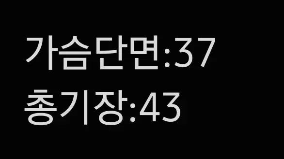  6 Y バーバリー キッズ 軽量ジャケット その他 ジャケット ブルゾン