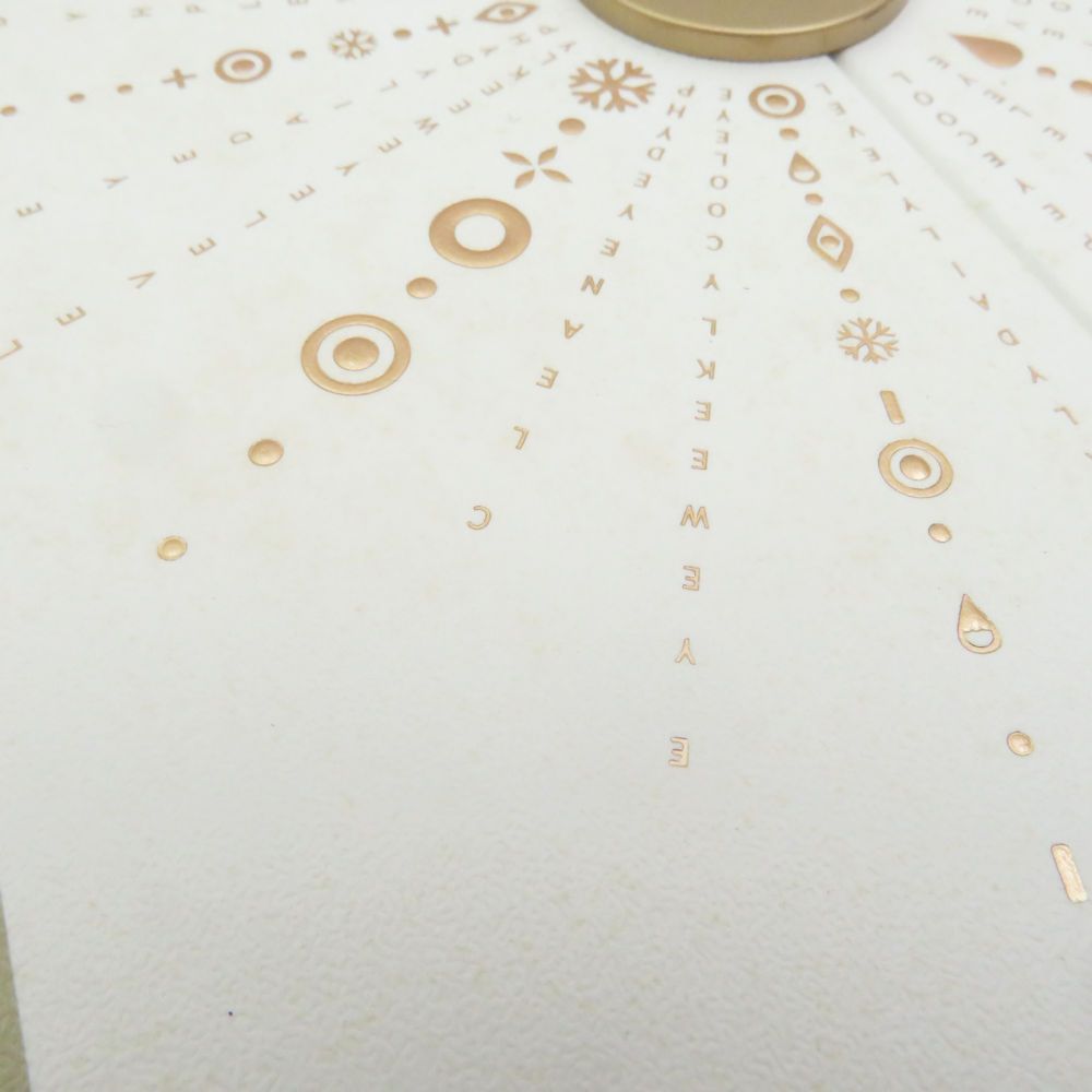  YA-MAN ヤーマン M 18-YL-1 美顔器 家庭用美容機器 BD 3619 美顔器 美容器 ボディ フェイスケア