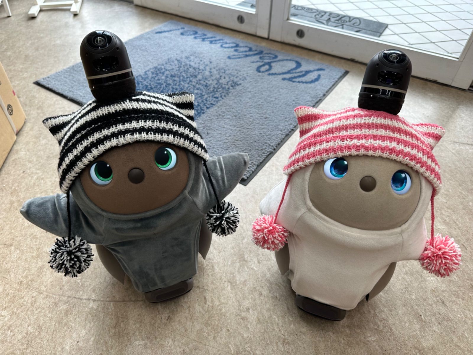 まめこさん専用 ネコミミ帽子