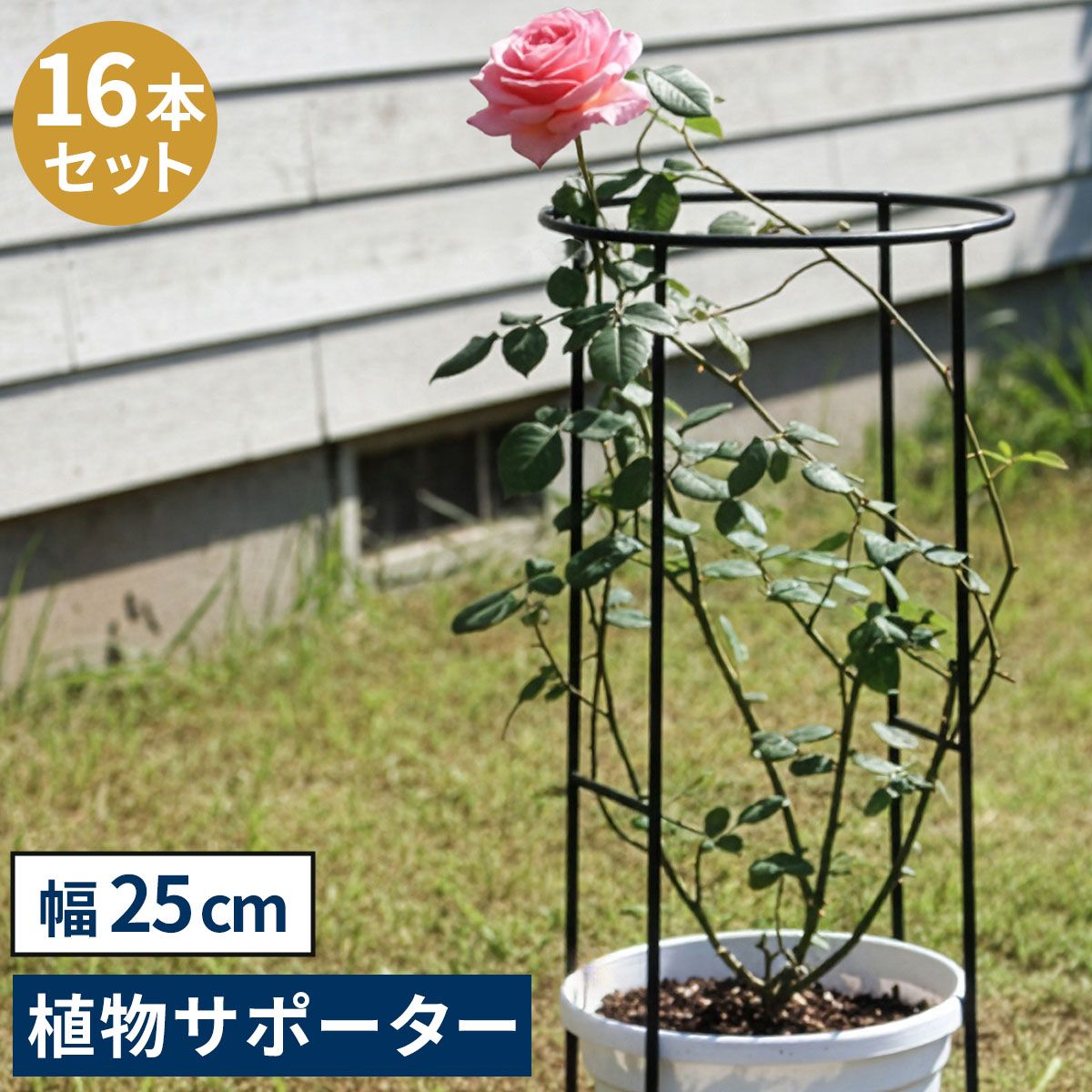 アイアン製植物サポーター 幅25 16本セット IF-N 0049-16 P<br>奥行13 高さ50 ハーフリング 倒れ防止 広がり抑制 スチール 鉄製 支柱 園芸 植物サポート フラワーサポート 菜園 花壇