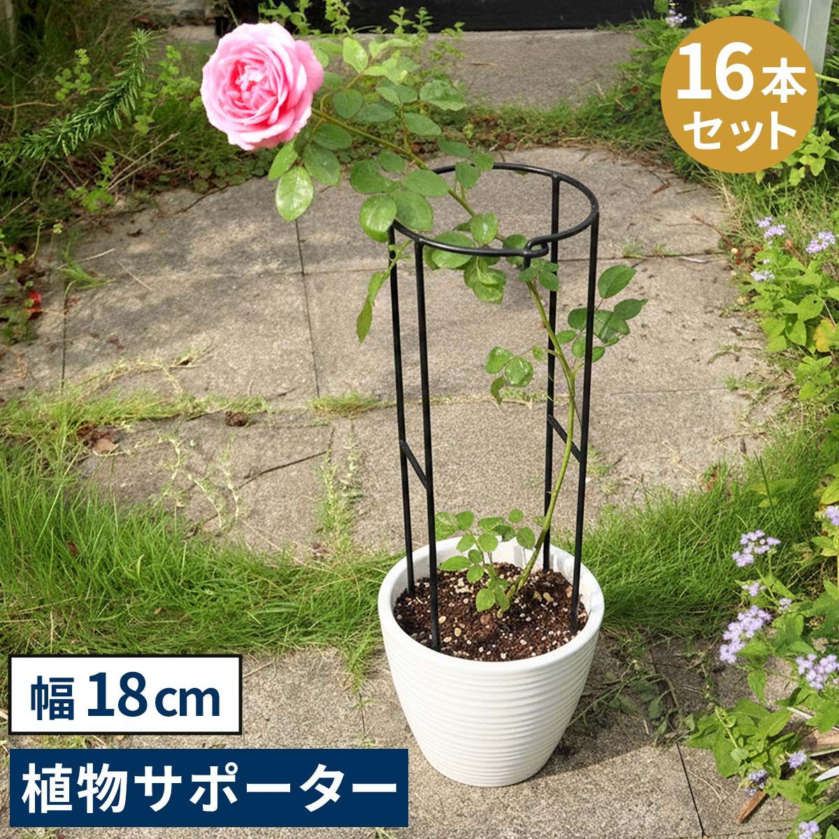 アイアン製植物サポーター 幅18 16本セット IF-N 0050-16 P<br>奥行10 高さ50 ハーフリング 倒れ防止 広がり抑制 スチール 鉄製 支柱 園芸 植物サポート フラワーサポート 菜園 花壇