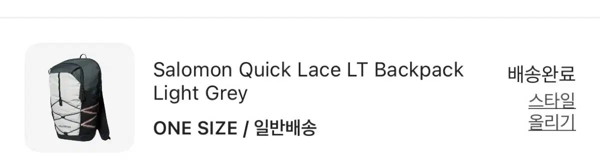 SALOMON サロモン クイックレース LT バックパック ライト グレー