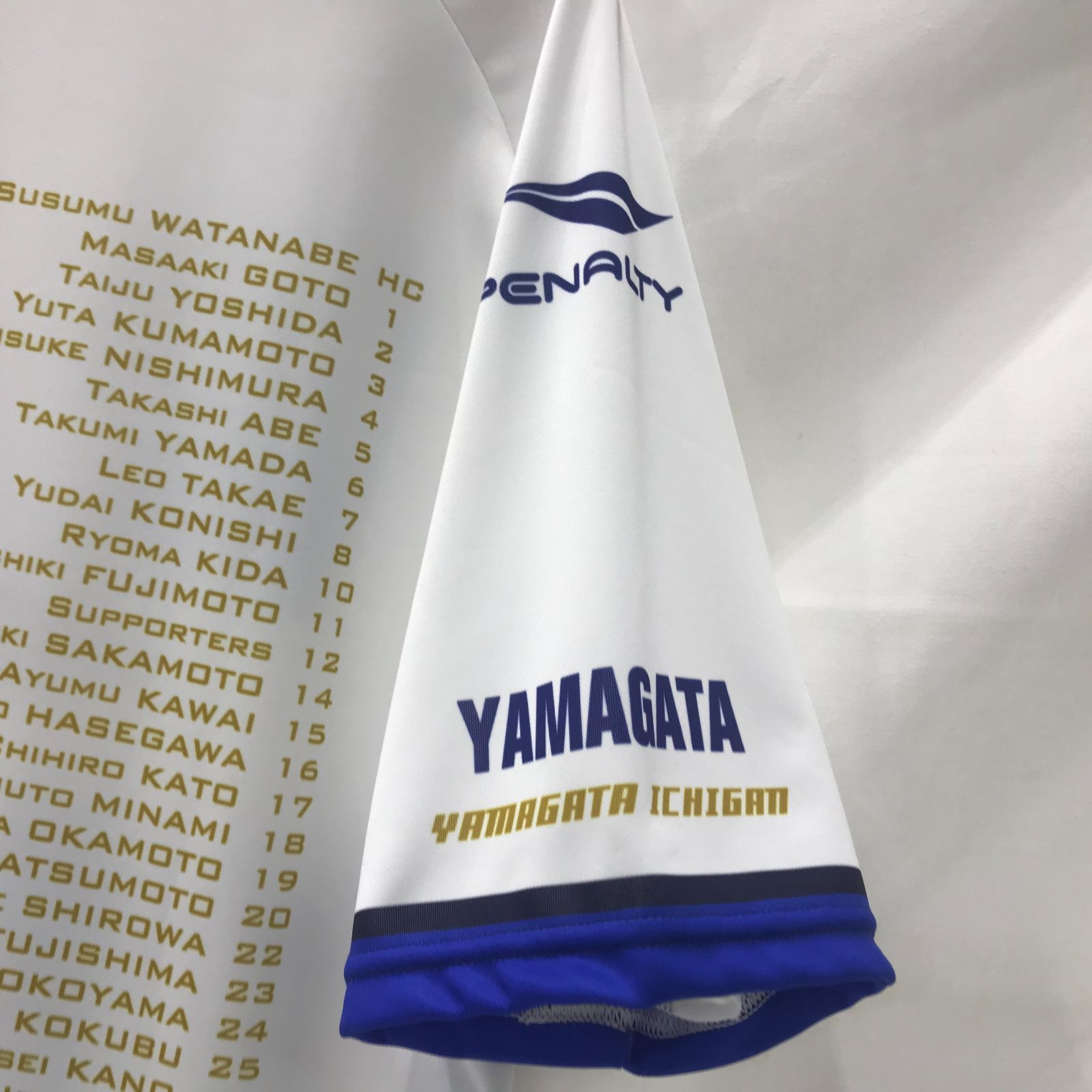 PENALTY ペナルティ モンテディオ山形 VS ファジアーノ岡山 2024