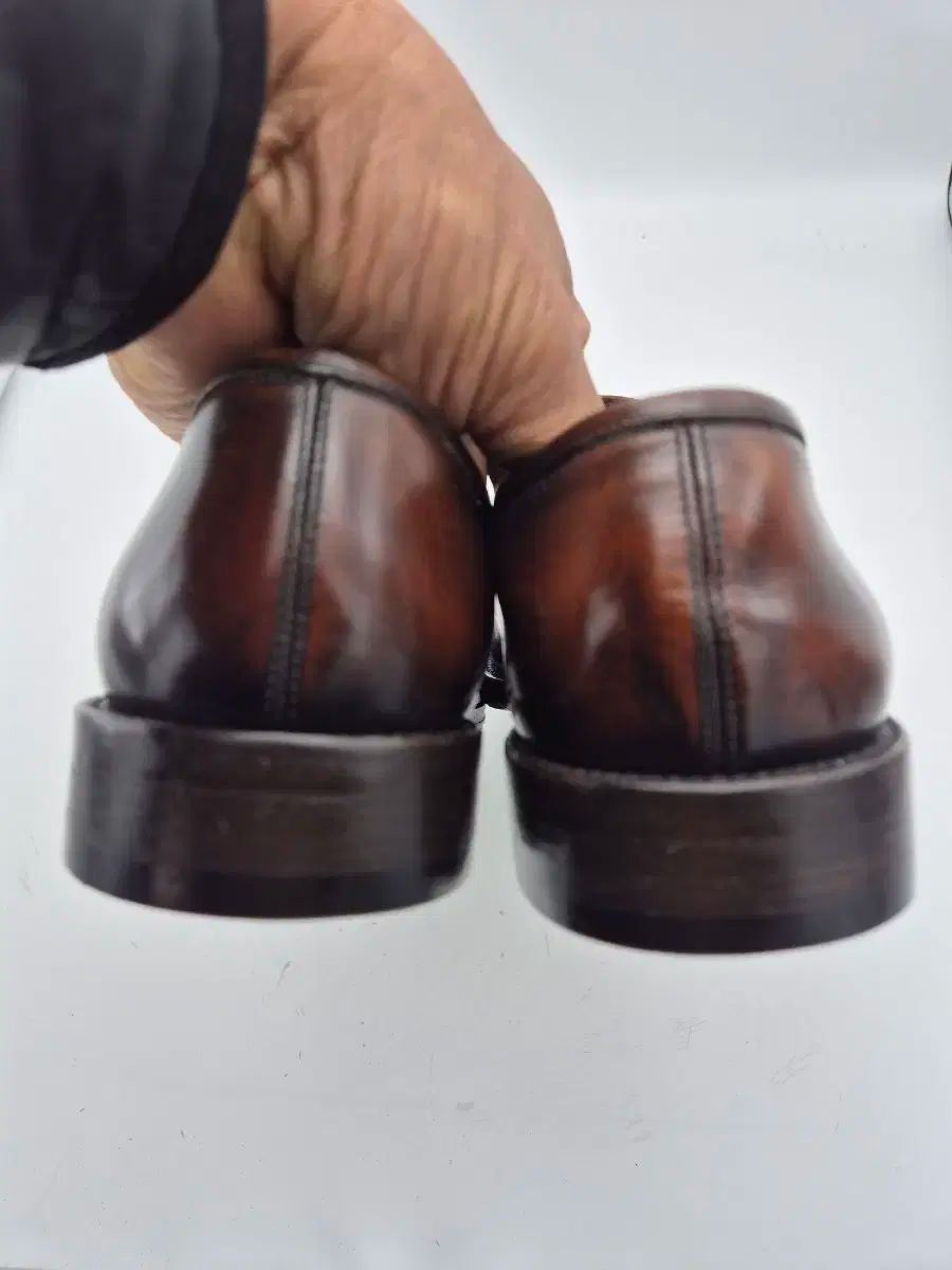 ブラウン ガンチーニ