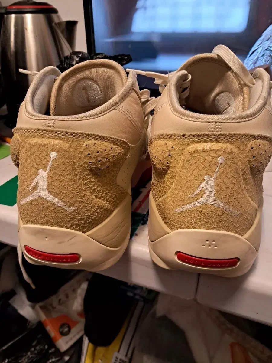 ジョーダン スニーカー シオン2 化石