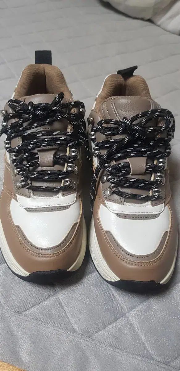 レディース ザラ スニーカー 240