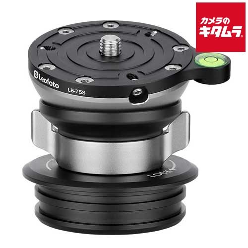 購入 【美品 ソニアジョーンズ衣装】ドットレースフォルダ