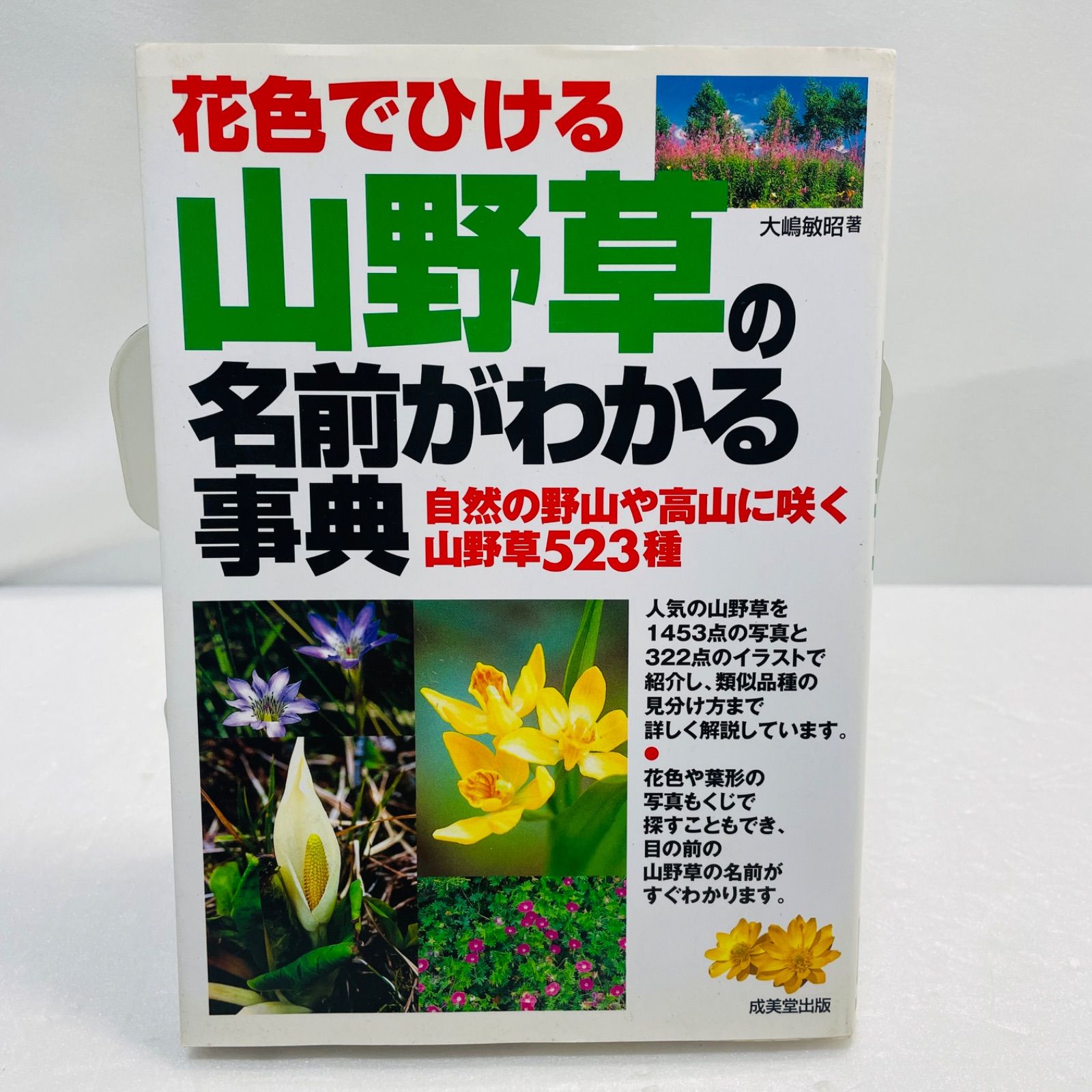 お探しの山野草あります 花色でひける山野草の名前がわかる事典 : 自然の野山や高山に咲く山