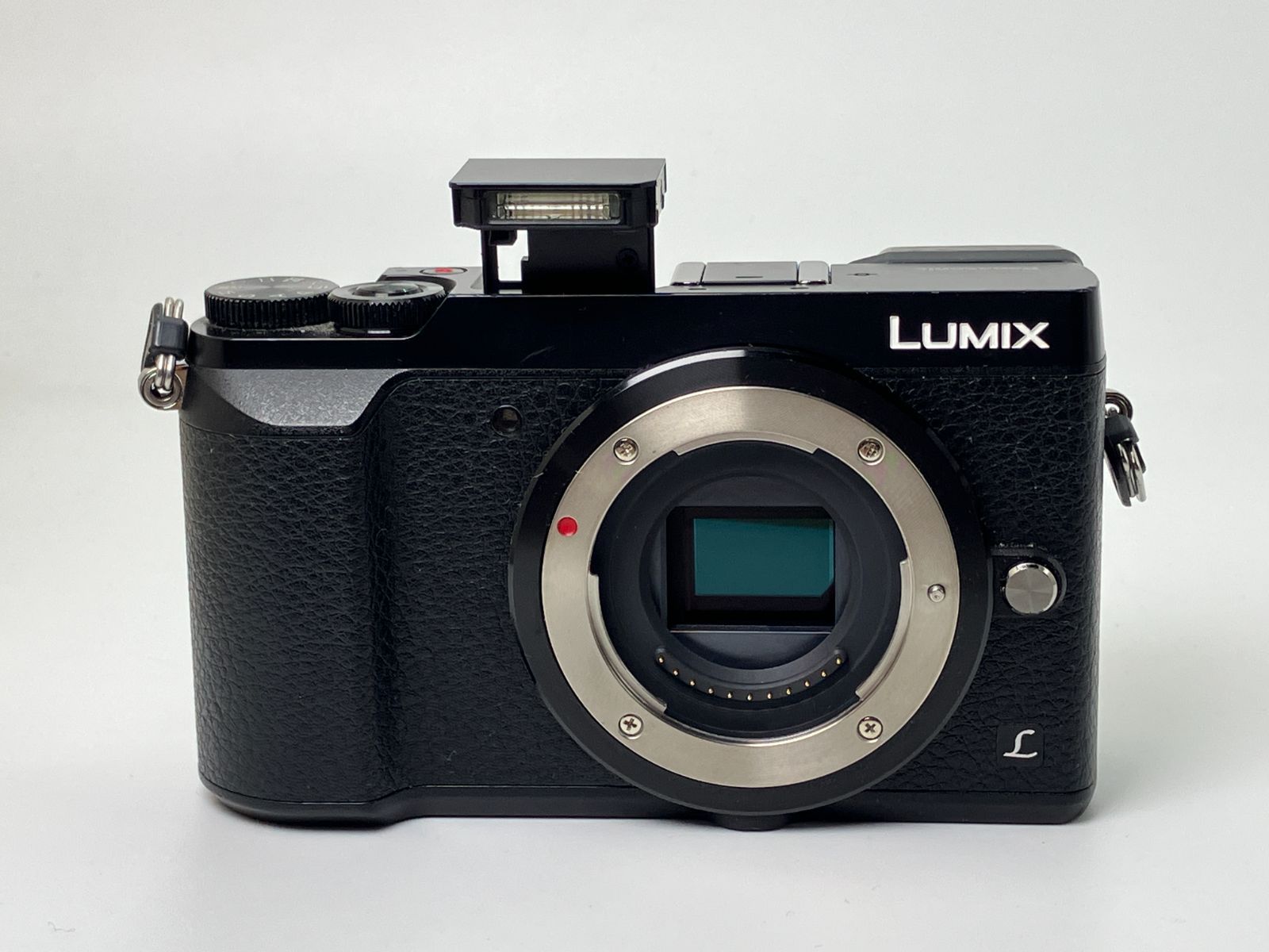 返品保証・動作確認済】Panasonic LUMIX DMC-GX7MK2 標準ズームレンズ