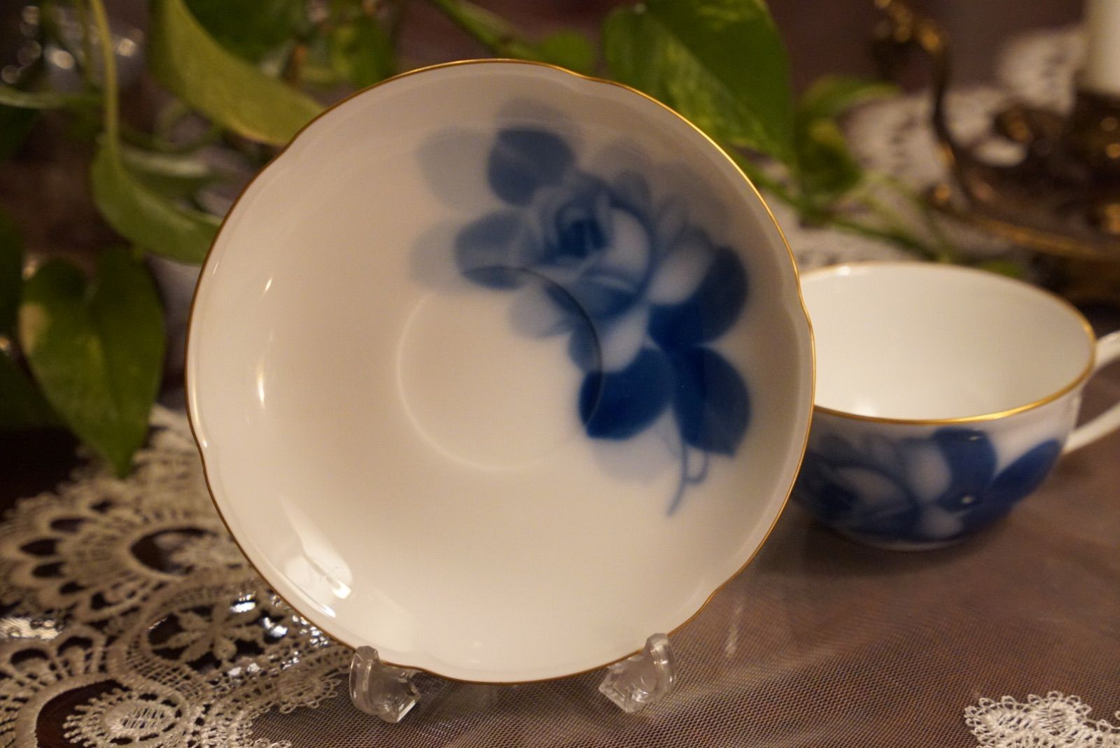 透きとおる青と白の花影が咲く