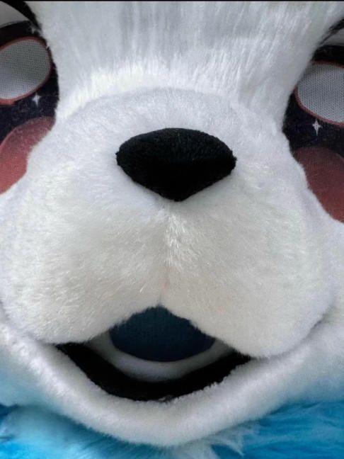 着ぐるみヘッド 犬 NO 439 青 水色 全頭ヘッド ケモノ ファースーツ ぬいぐるみ コスプレ コスチューム kigurumi