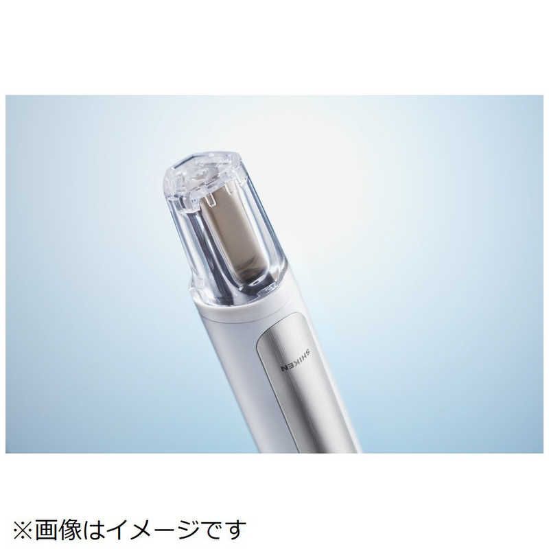  シケン 電動歯ブラシ ソラデーリズム2 AE 22 C 電動歯ブラシ本体 電動歯ブラシ