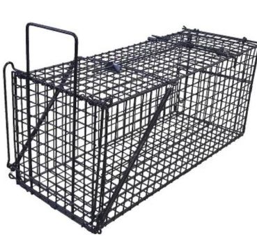 ｼﾝｾｲ ｱﾆﾏﾙｷｬｯﾁｬｰ M▲