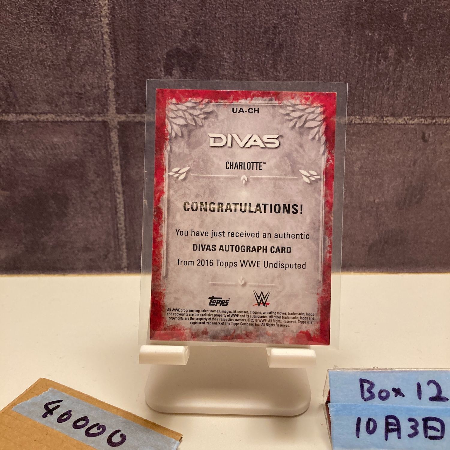 2016 Topps Undisputed Charlotte 04 50 直筆サインカード WWE Divas 女子プロレス カード