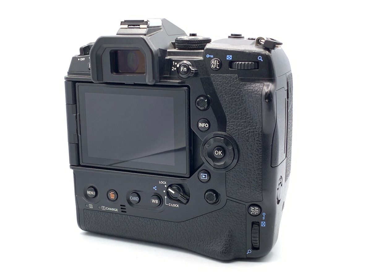 並品 オリンパス OM D E M 1 X ボディ