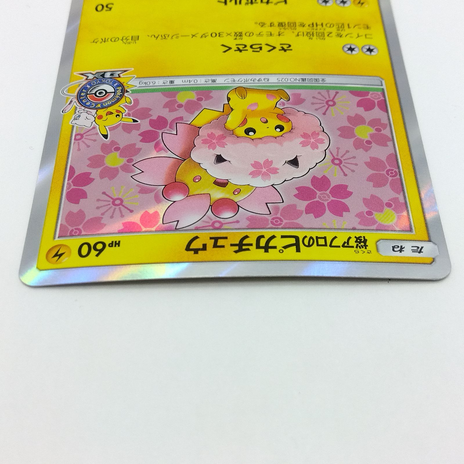 プレイ用】ポケモンカードゲーム PROMO プロモ 211/SM-P 桜アフロの