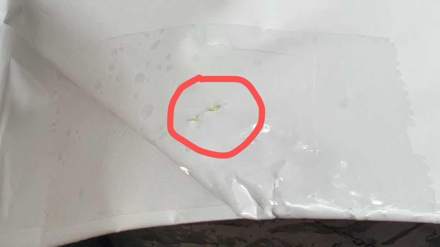 エゾボリック ホエイ プロテイン 3 kg 宇治抹茶味 4418391