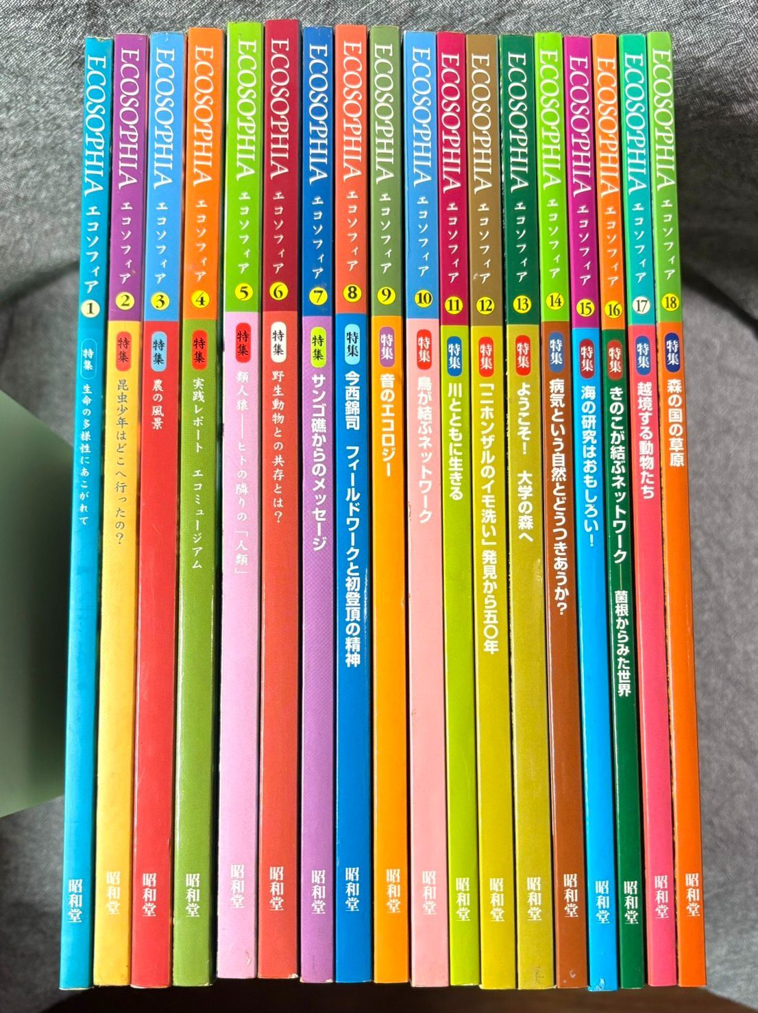 エコソフィア 1～18 18冊セット