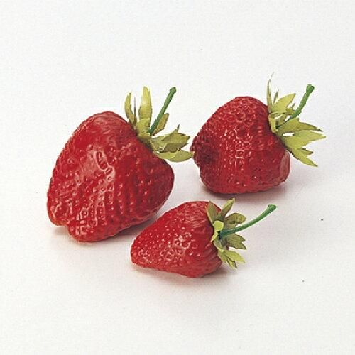 アスカ Asca ストロベリー 1箱18コ入 いちご 価格変更 A-23016-2 入数 12