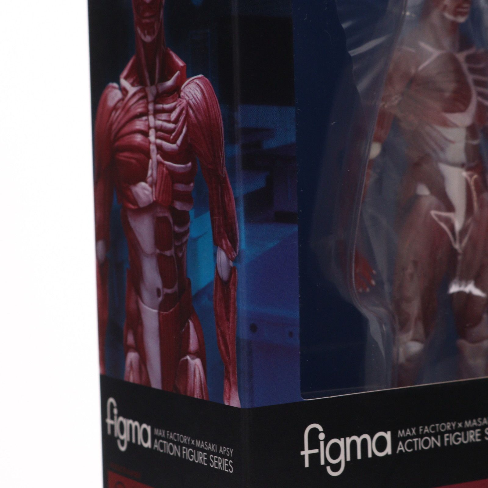 figma(フィグマ) SP-142 人体模型(じんたいもけい) 完成品 可動