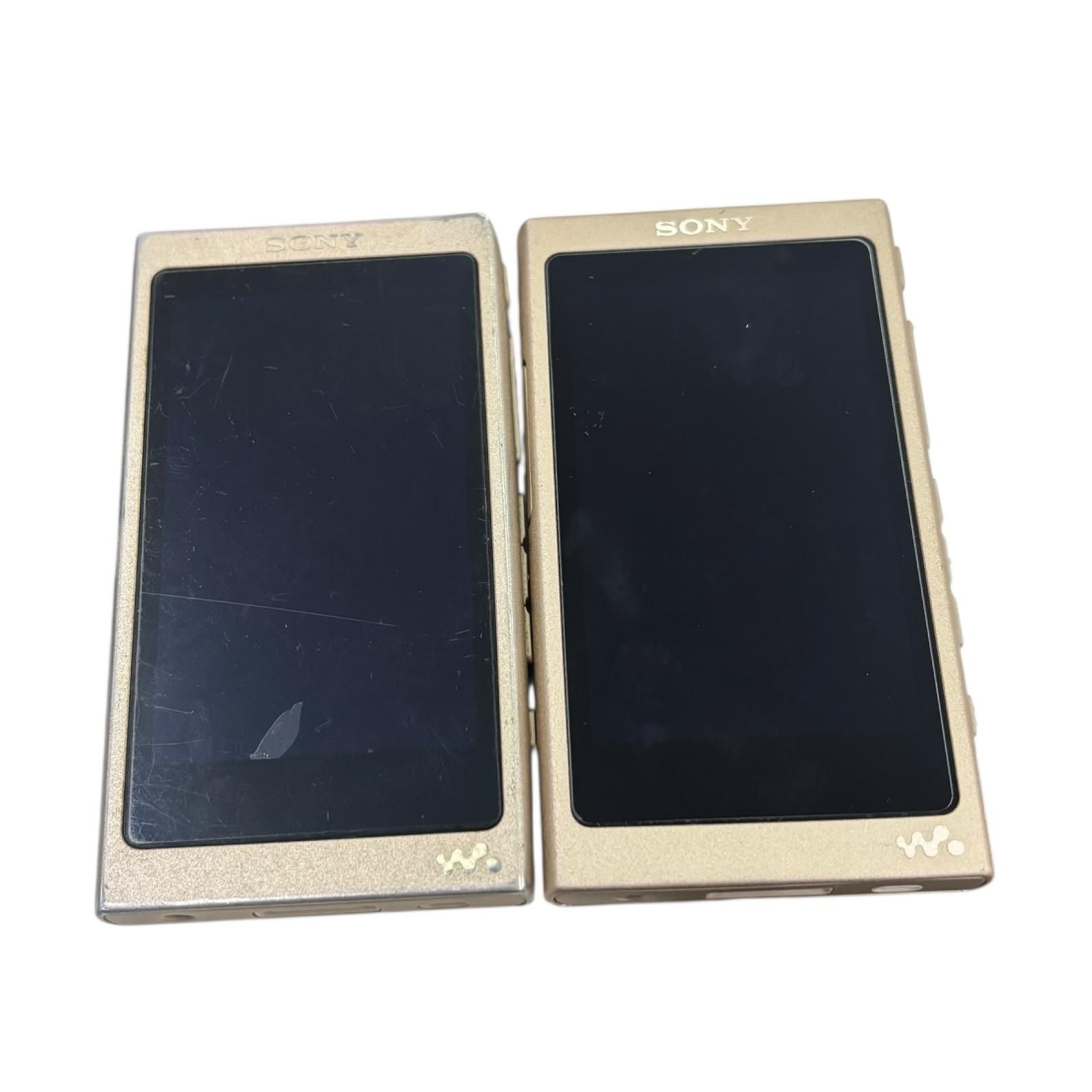 186001 動作確認済み SONY ソニー ウォークマン NW-A45/NW-A46