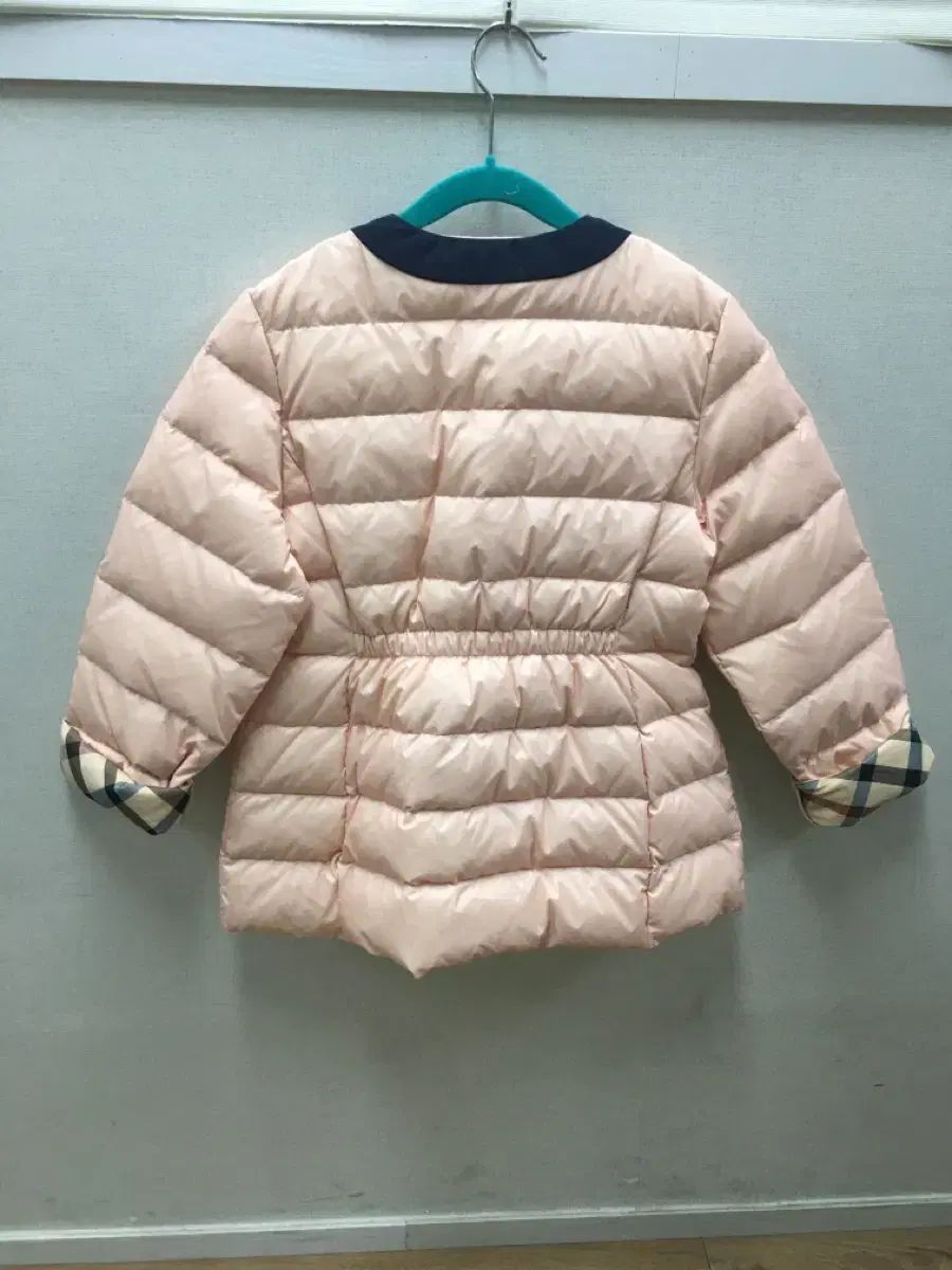 ダックス ピンク色