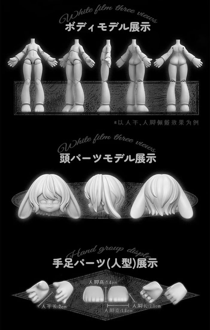 BOX 6ピース入り