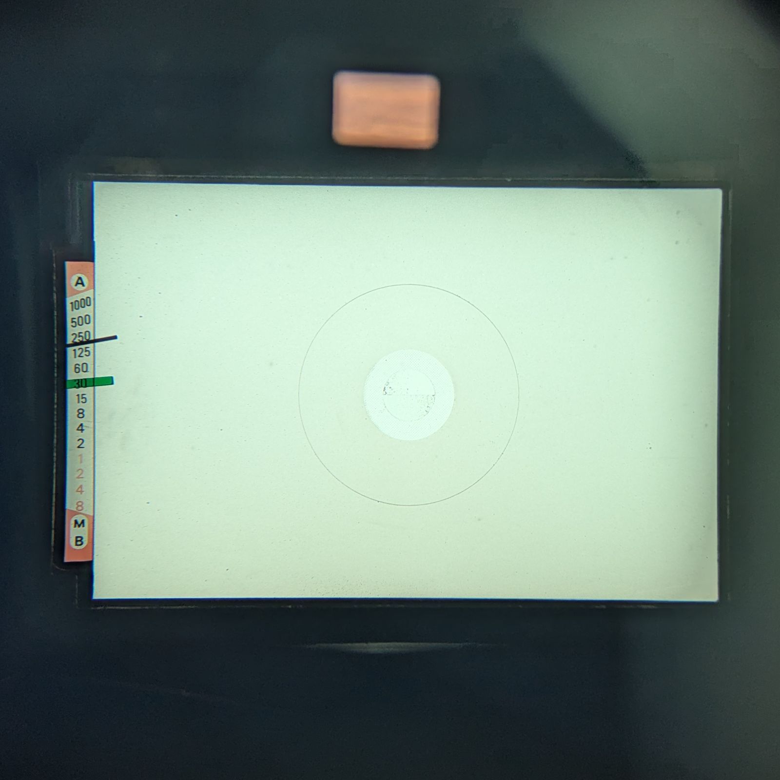 ボディ フィルムカメラ