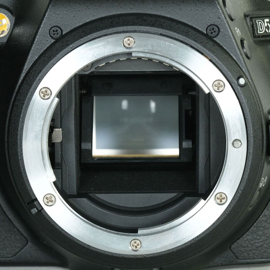 美品 | シャッター数8,210回｜バッテリー2個付] Nikon D5600 [ボディ