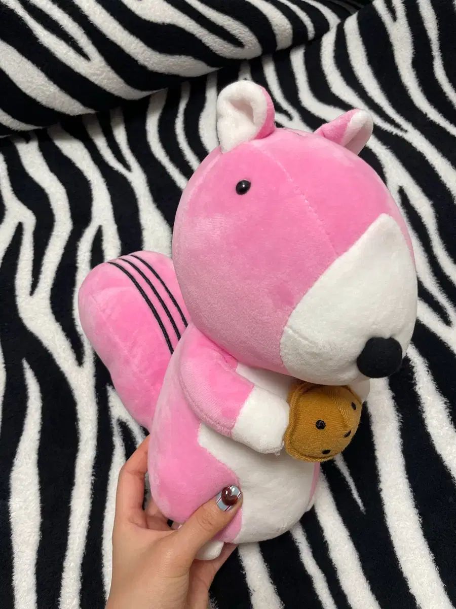 ポンポネット L/160 受験対応 面接 フォーマル セレモニー用 5点セット