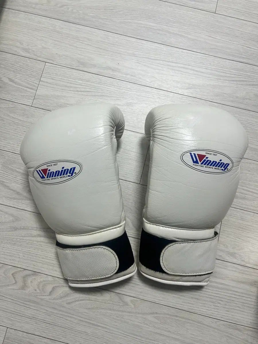 ウィニング グローブ 14 オンス 白