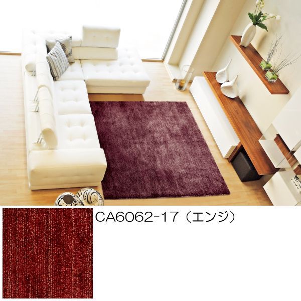 アスワン アース防ダニ 抗菌 防虫 防カビ カーペット MC 100 190 cm CA 6062 17 35 47 エンジ グリーン ネイビー 山間部等へはお届けできません