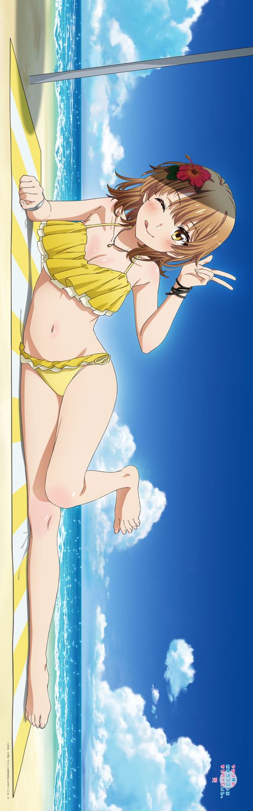 新品】【再販】やはり俺の青春ラブコメはまちがっている。完 描き