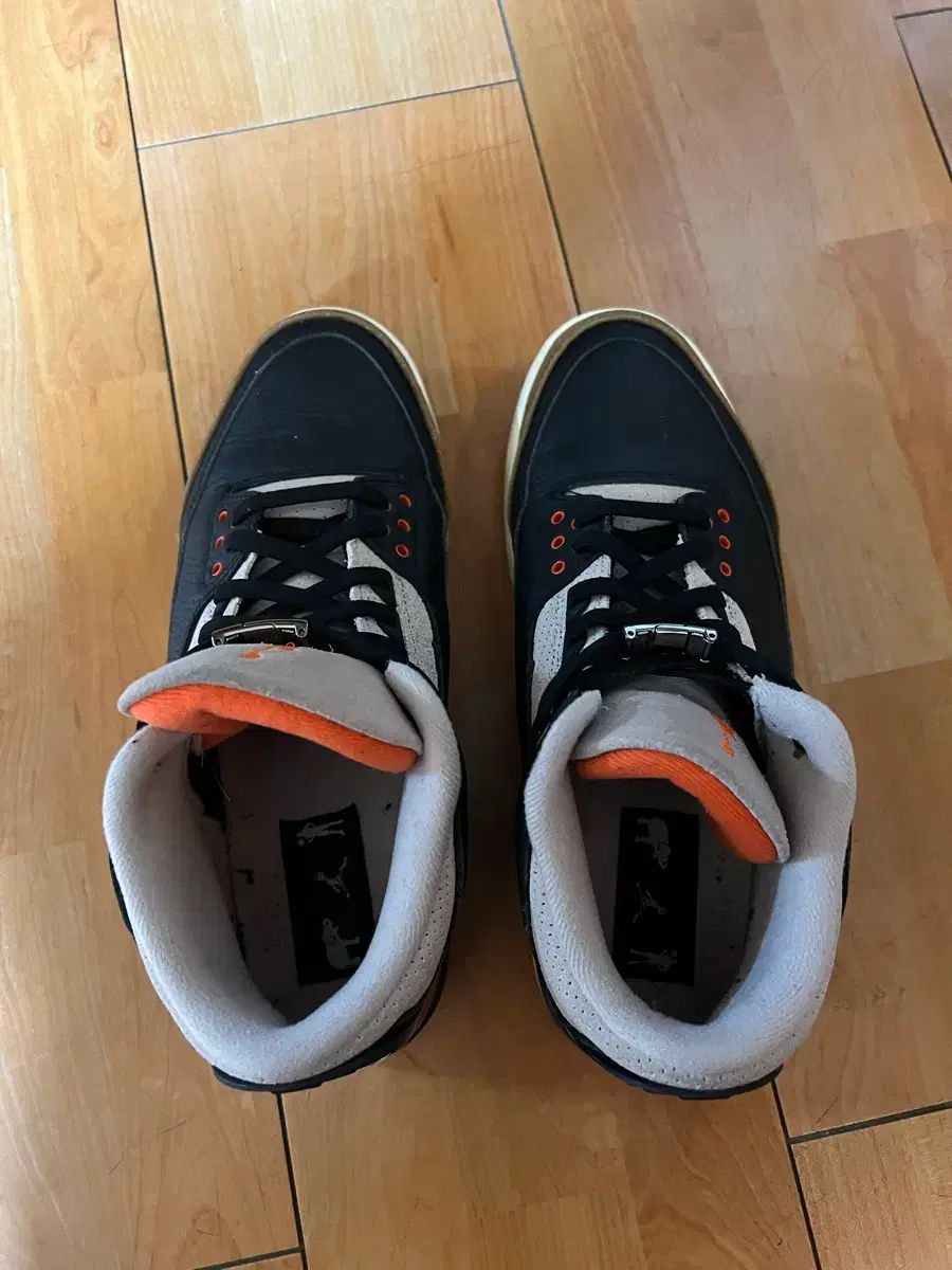 ナイキ エア ジョーダン 3 デザート L エレファント