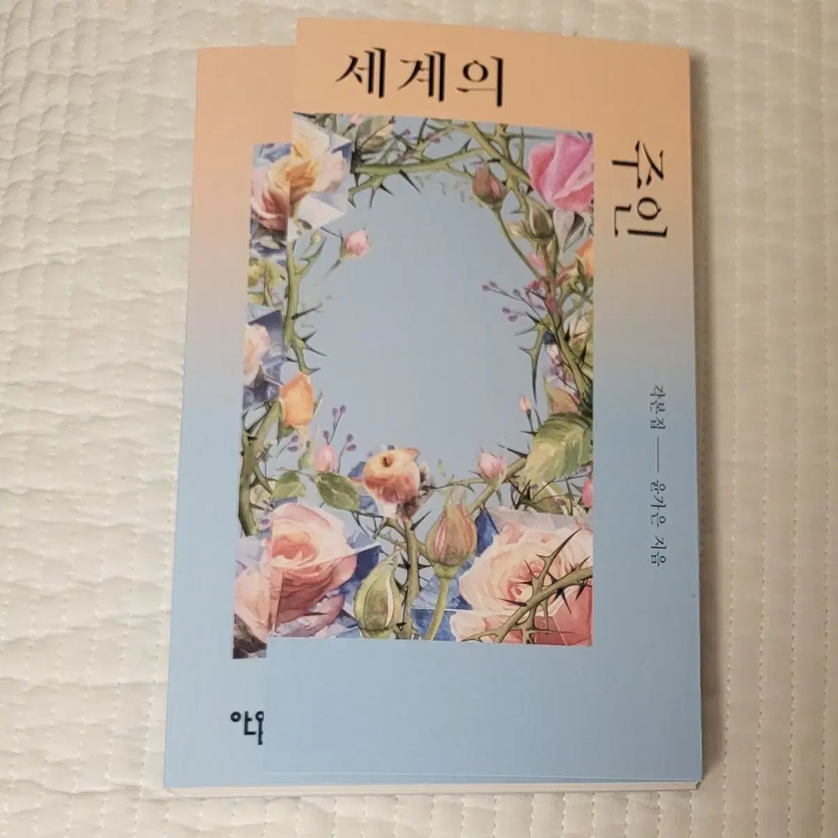 世界の主人 脚本集 サイン入りグッズ サイン ユン ガウン監督