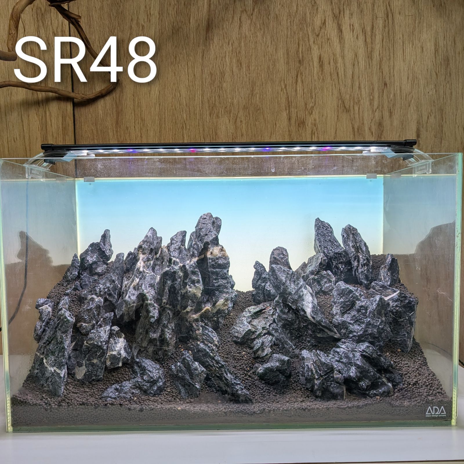 青龍石 酸処理済み SR 48 60 cm水槽用レイアウト 石組レイアウト mmdsaqua