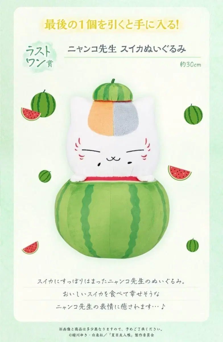 未開封) 夏目友人帳 にゃんこ先生 スイカ ぬいぐるみ 30cm ラストワン