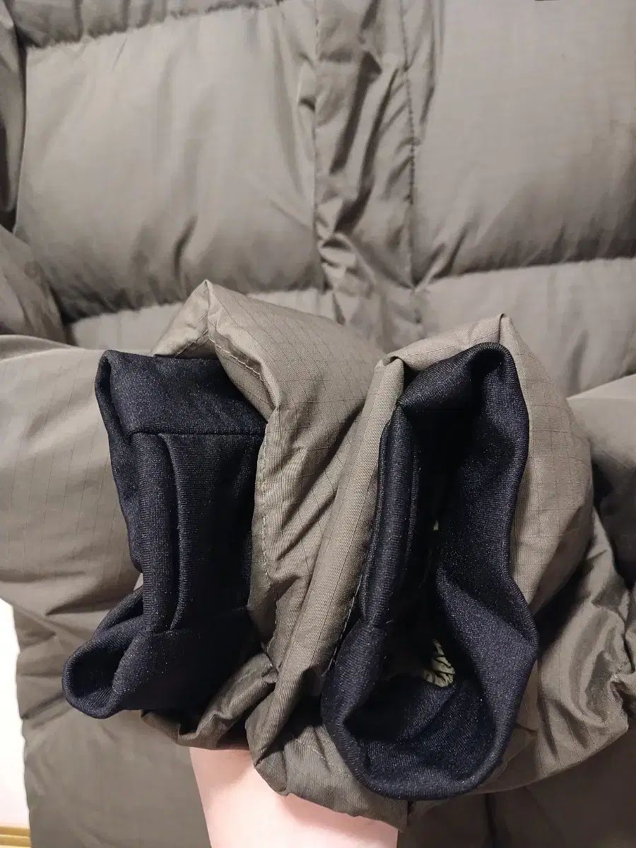 成人 レディース