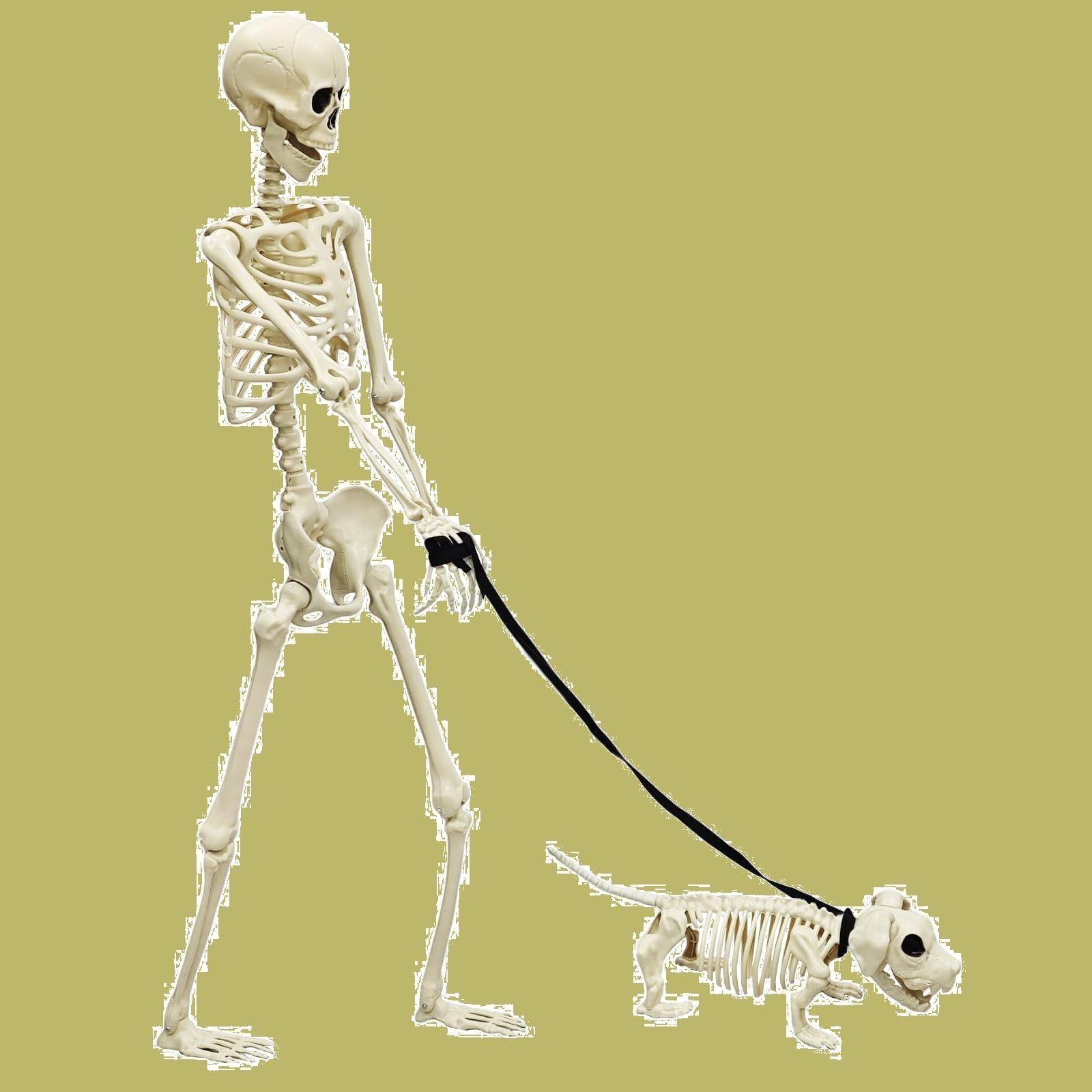 置物 吊り下げ 家庭用 撮影用 道具 装飾 165 cm等身大 犬2点セット 飾り リアル感強い 骸骨 ホラー モデル MARUNDA